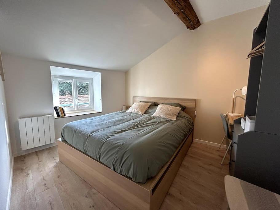 Appartement Central - L'Est Tarare Extérieur photo